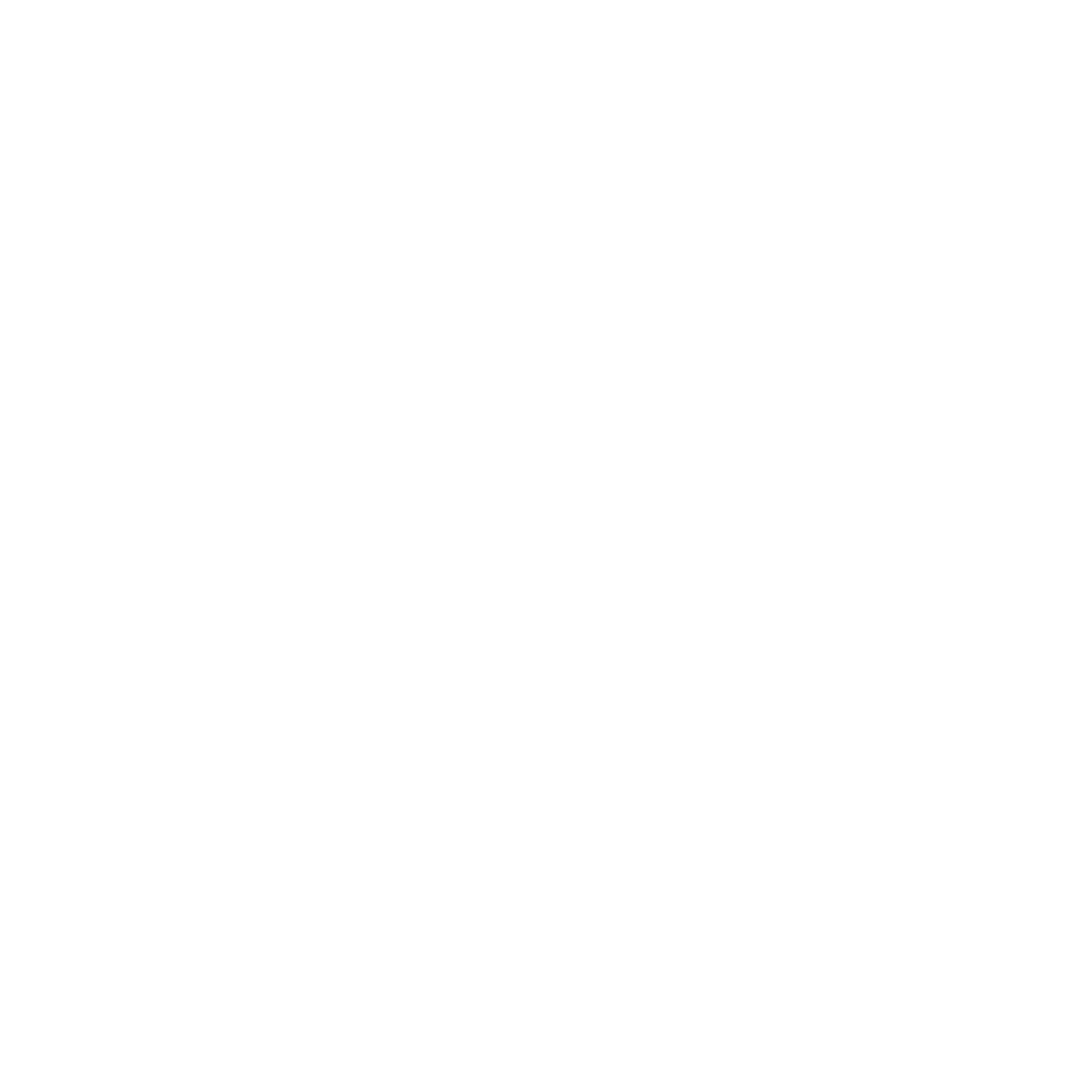 Elibra Security Logo